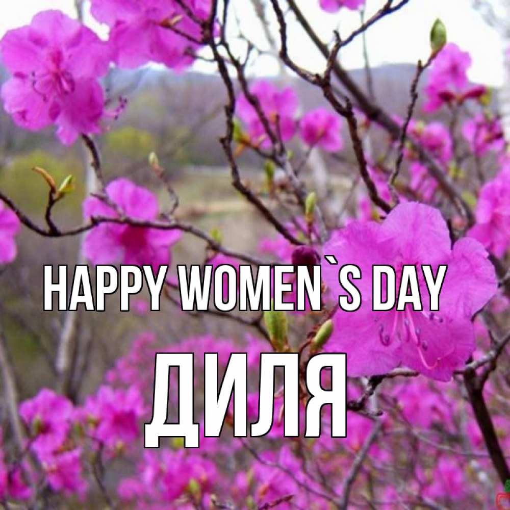 Greetings card с именем, Диля happy women`s day международный женский день Greetings with text for free download 